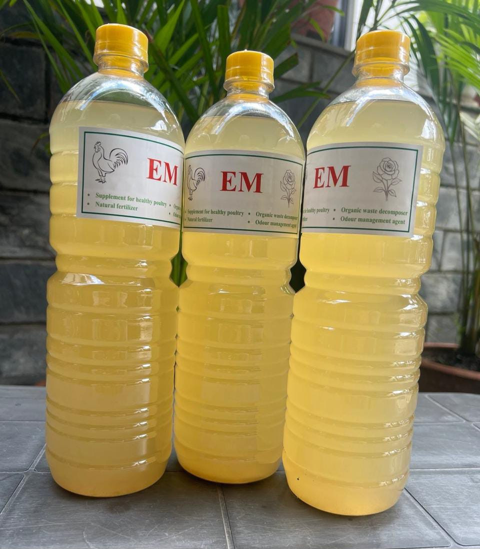 EM