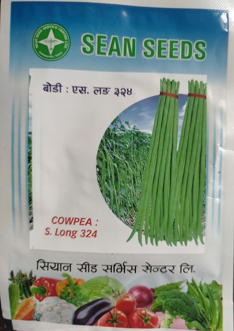 Cowpea: S.Long 324