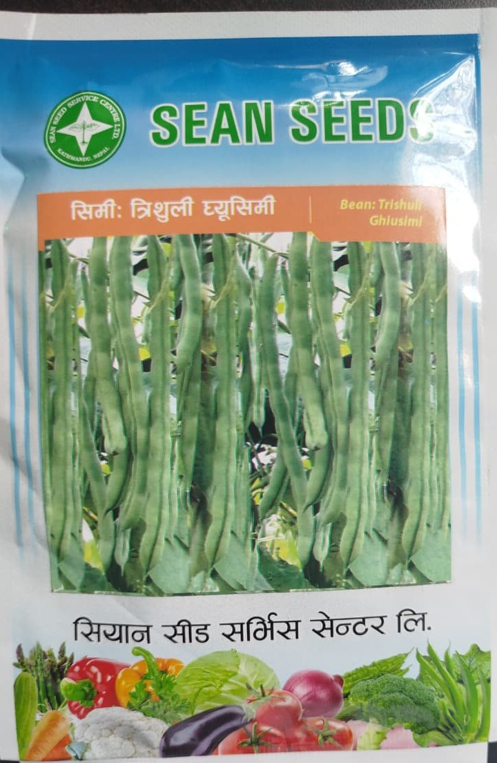 Bean:Trishuli Ghiusimi