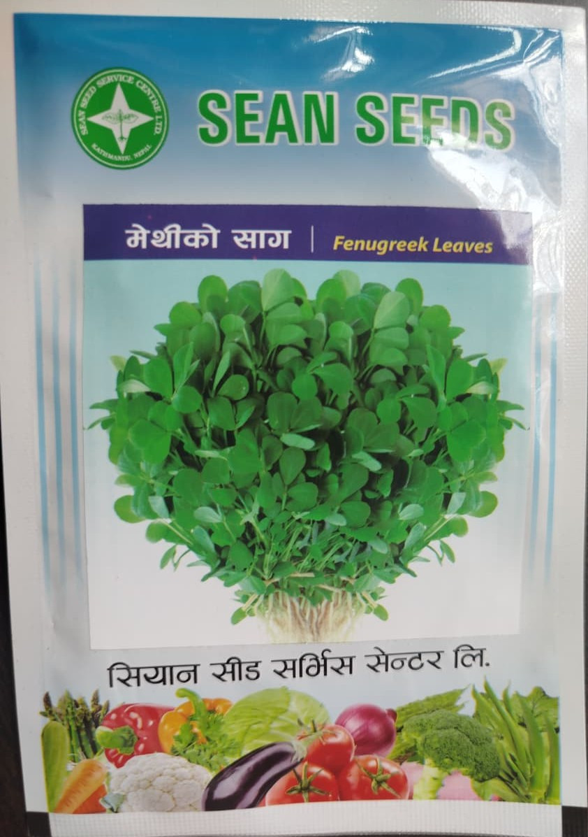 Fenugreek Leaves