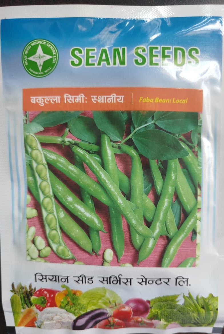 Faba Bean