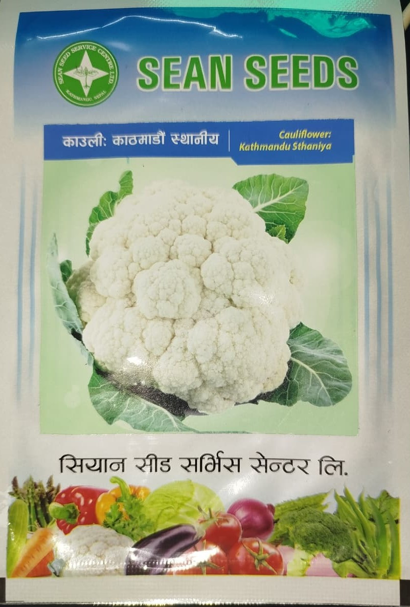 काउली काठमाण्डौ लोकल