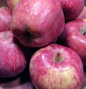 Apple (Local)