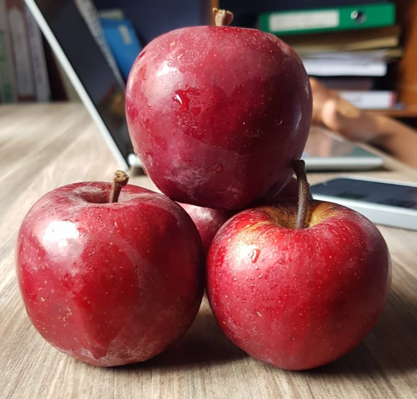 Apple (Gala)