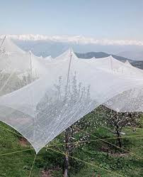 Hailstorm Net