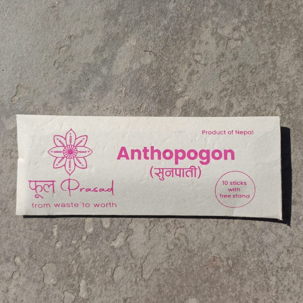 सुनपाती धूप (Anthopogon)