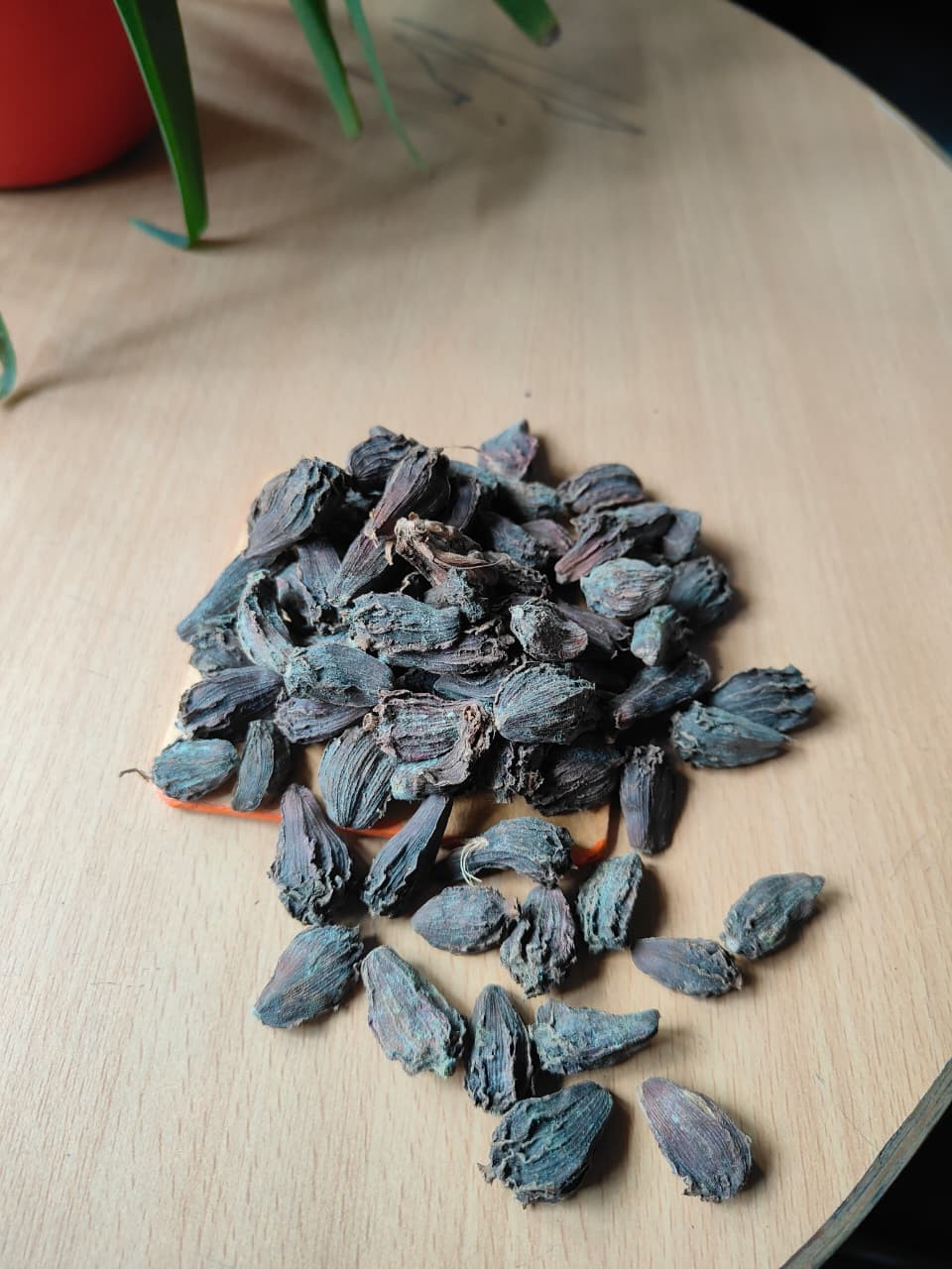 Black Cardamom (Elaichi)