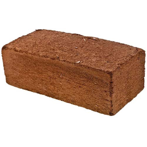 Coco peat Brick 2 Kg