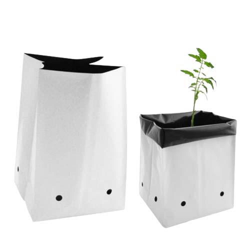 Grow Bag