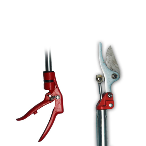 Long Secateurs-3 Meter