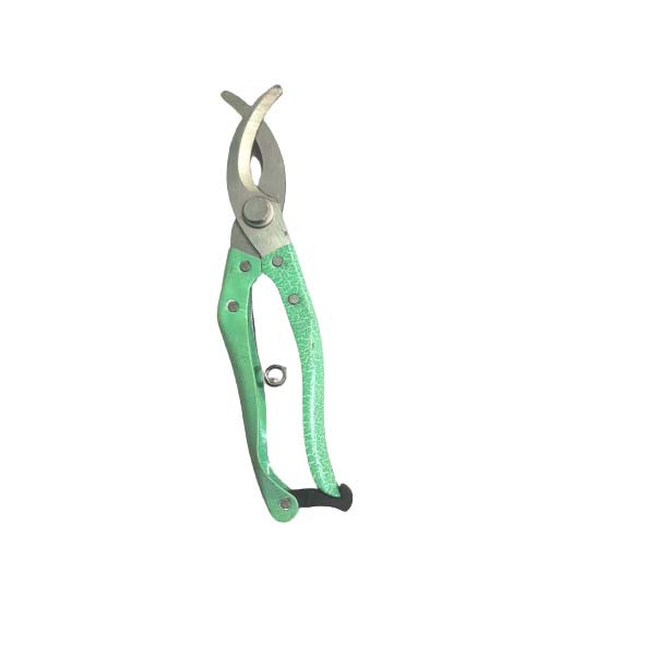 Rose Cutting Shear/Secateur (Curved Secateur)