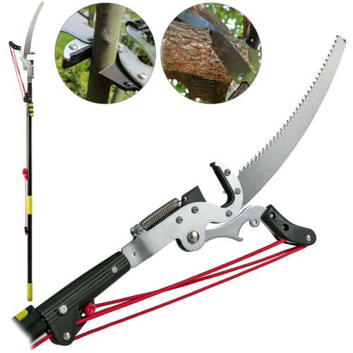 Tree Pruner-Large