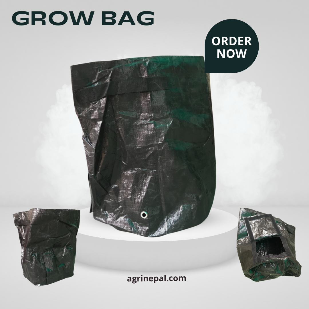 Garden Potato Grow Bag